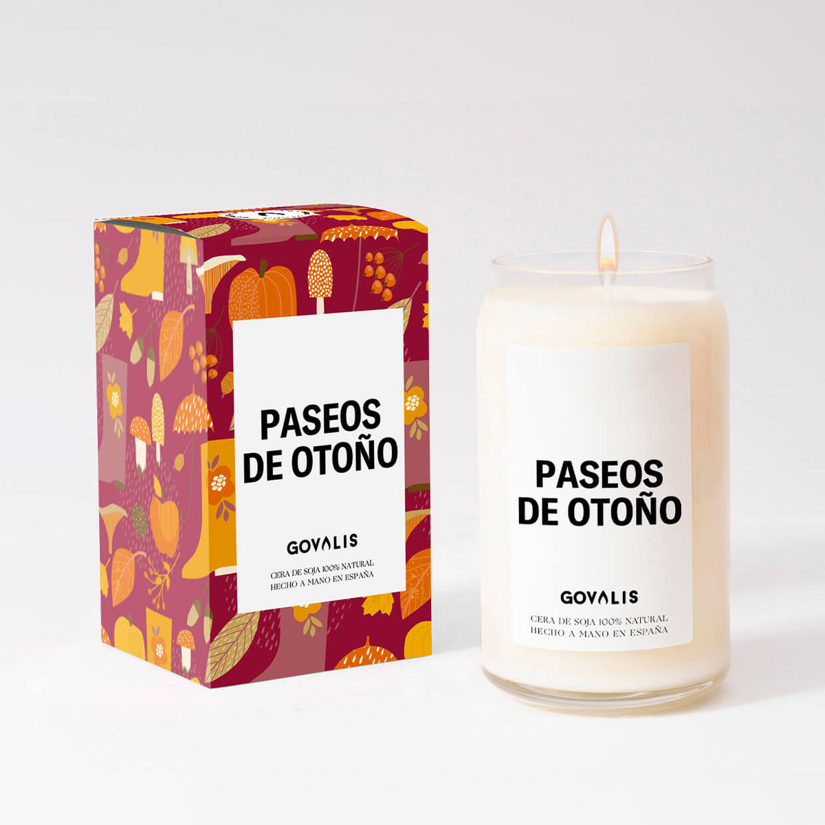 Velas Decorativas - ¿Cuáles son las más utilizadas? – GOVALIS